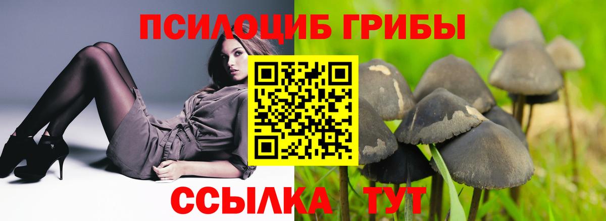 Псилоцибиновые грибы Cubensis  Псилоцибиновые грибы GOLDEN TEACHER  Отрадное  Вход с VPN 